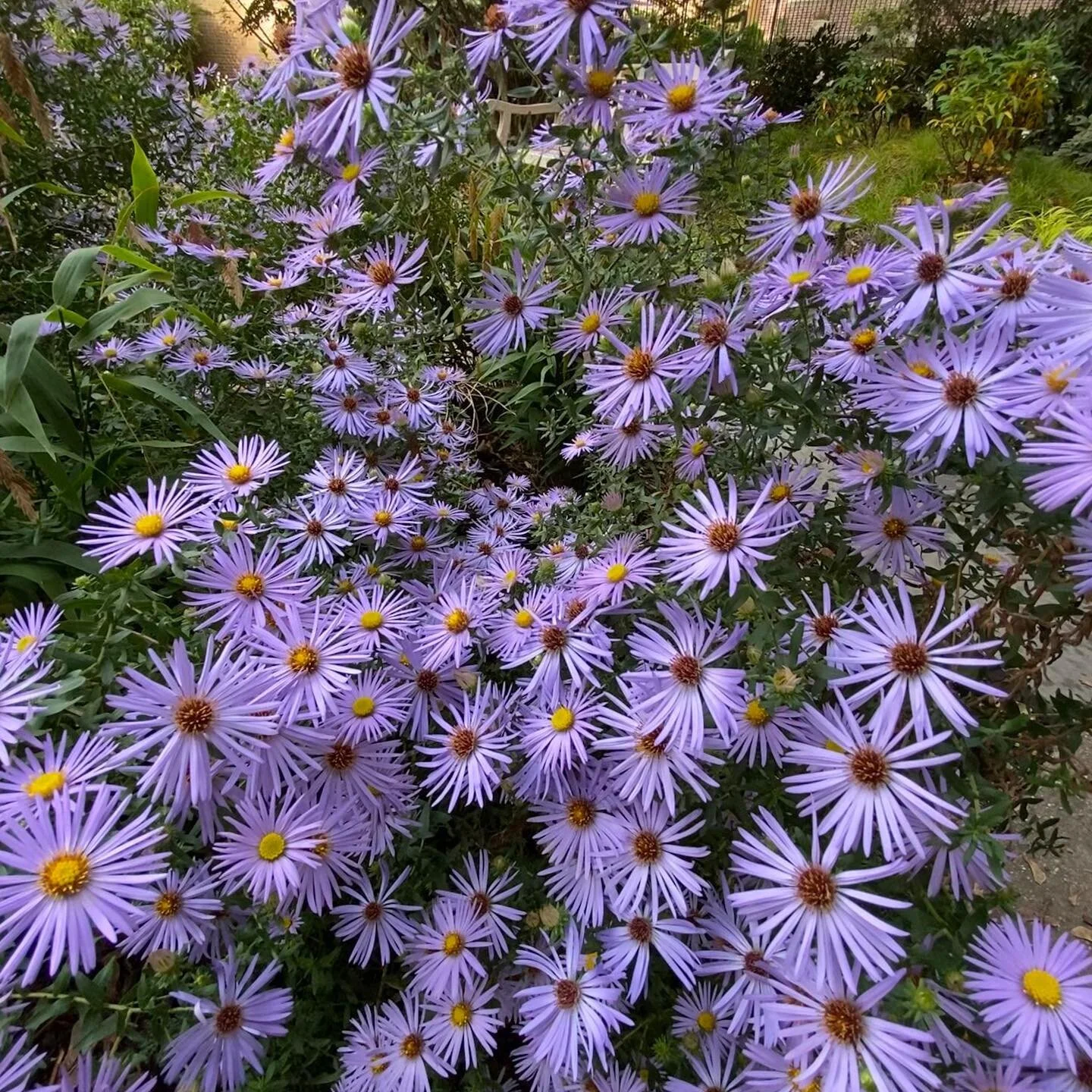 Hawthorne Court building exterior